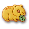 Pet Hamster With Lettuce