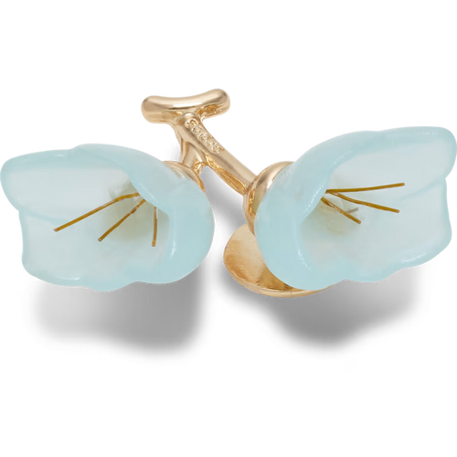 Blue and Gold Flower Blossom
