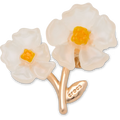 White Floral Blossom