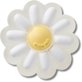 Tiny Darling Daisy