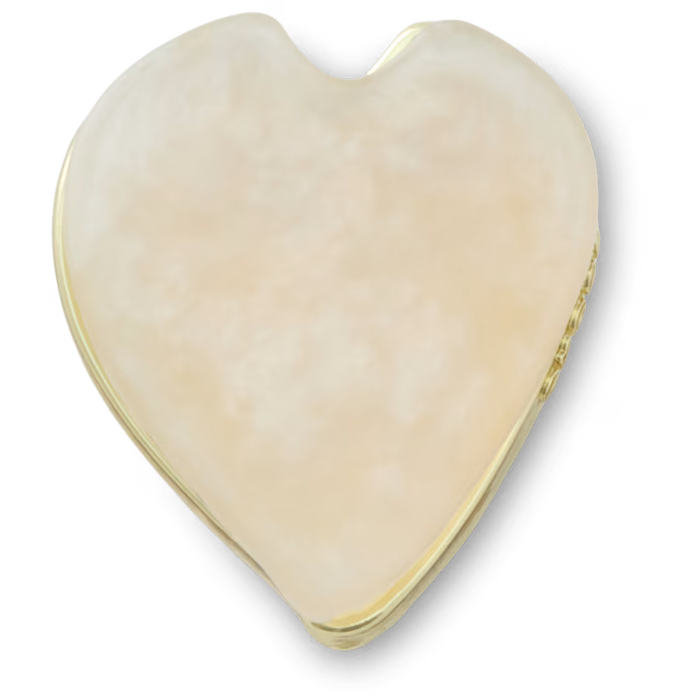 White Flower Petal