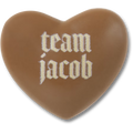 The Twilight Saga Team Jacob