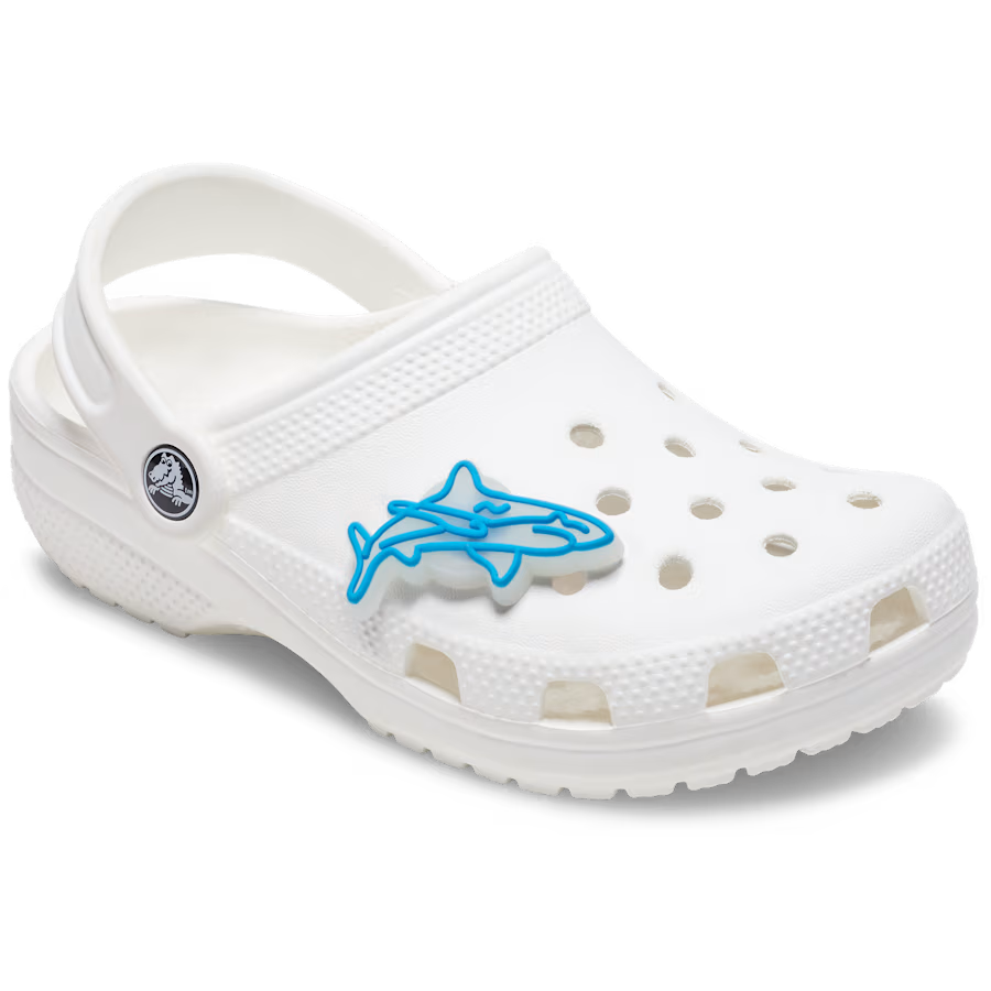 Lights Up Shark